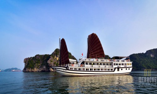 V'Spirit Cruise